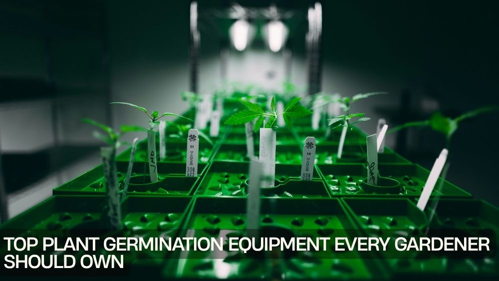 Top Plant Germination Equipment Every Gardener Should Own