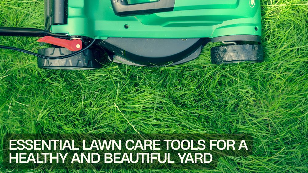 Essential Lawn Care Tools for a Healthy and Beautiful Yard