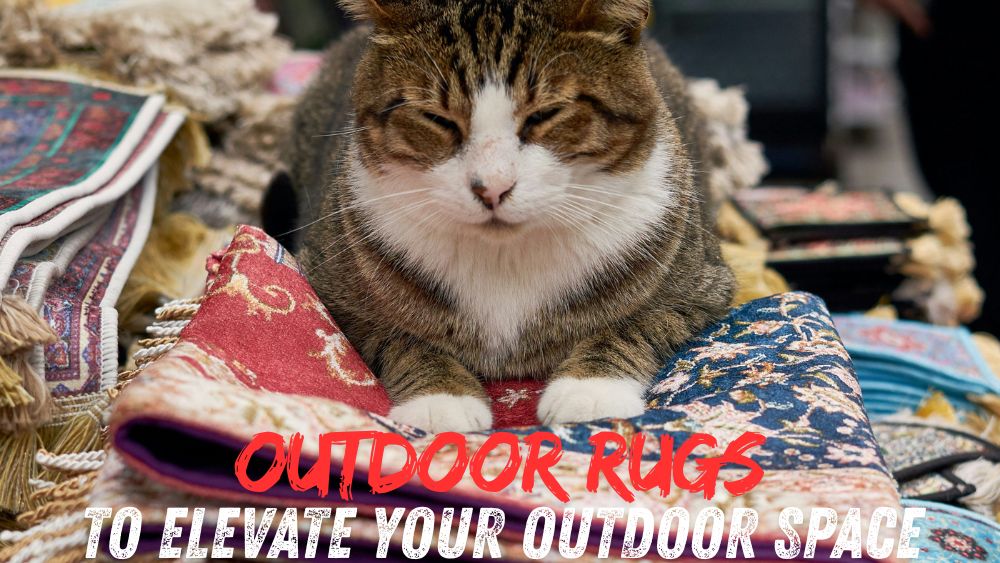 Outdoor Rugs to Elevate Your Outdoor Space