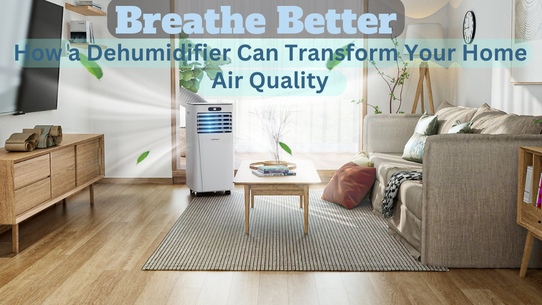 Breathe Better: How a Dehumidifier Can Transform Your Home Air Quality