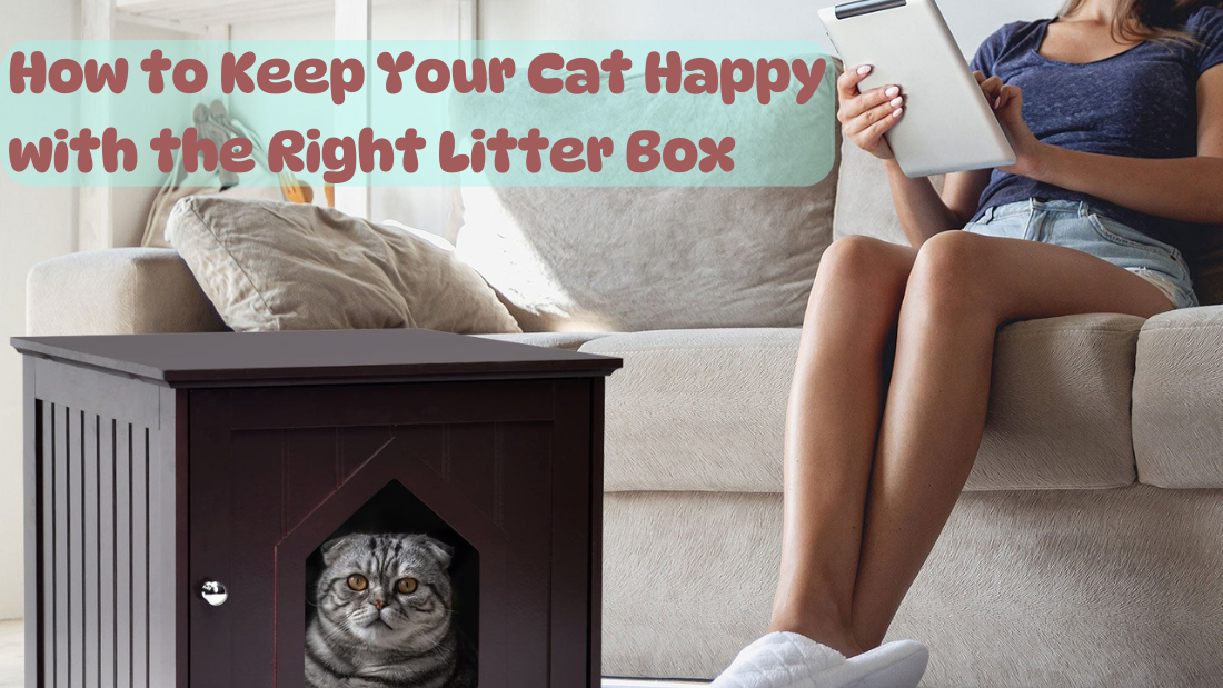 How to Keep Your Cat Happy with the Right Litter Box