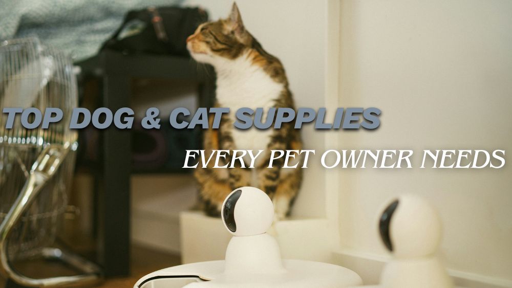Top-Dog-Cat-Supplies-Every-Pet-Owner-Needs totalfindz