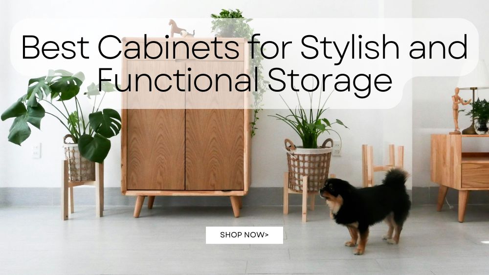 Best Cabinets for Stylish and Functional Storage