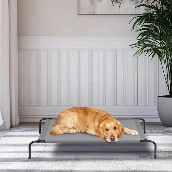 50D X 31W X 8H Dog Bed
