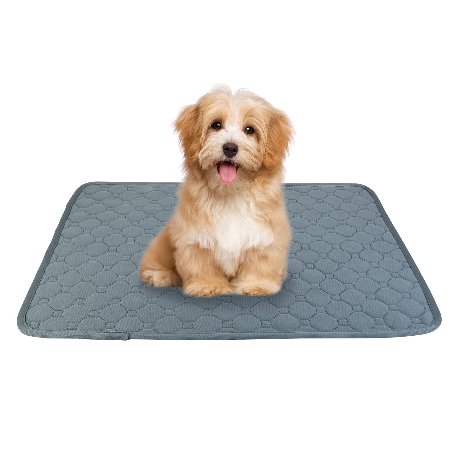 Washable Dog Pee Pad Reusable Puppy Potty Training Pads Waterproof Absorbent Whelping Mat Cat Pee Cushion for Dogs Pets Cats