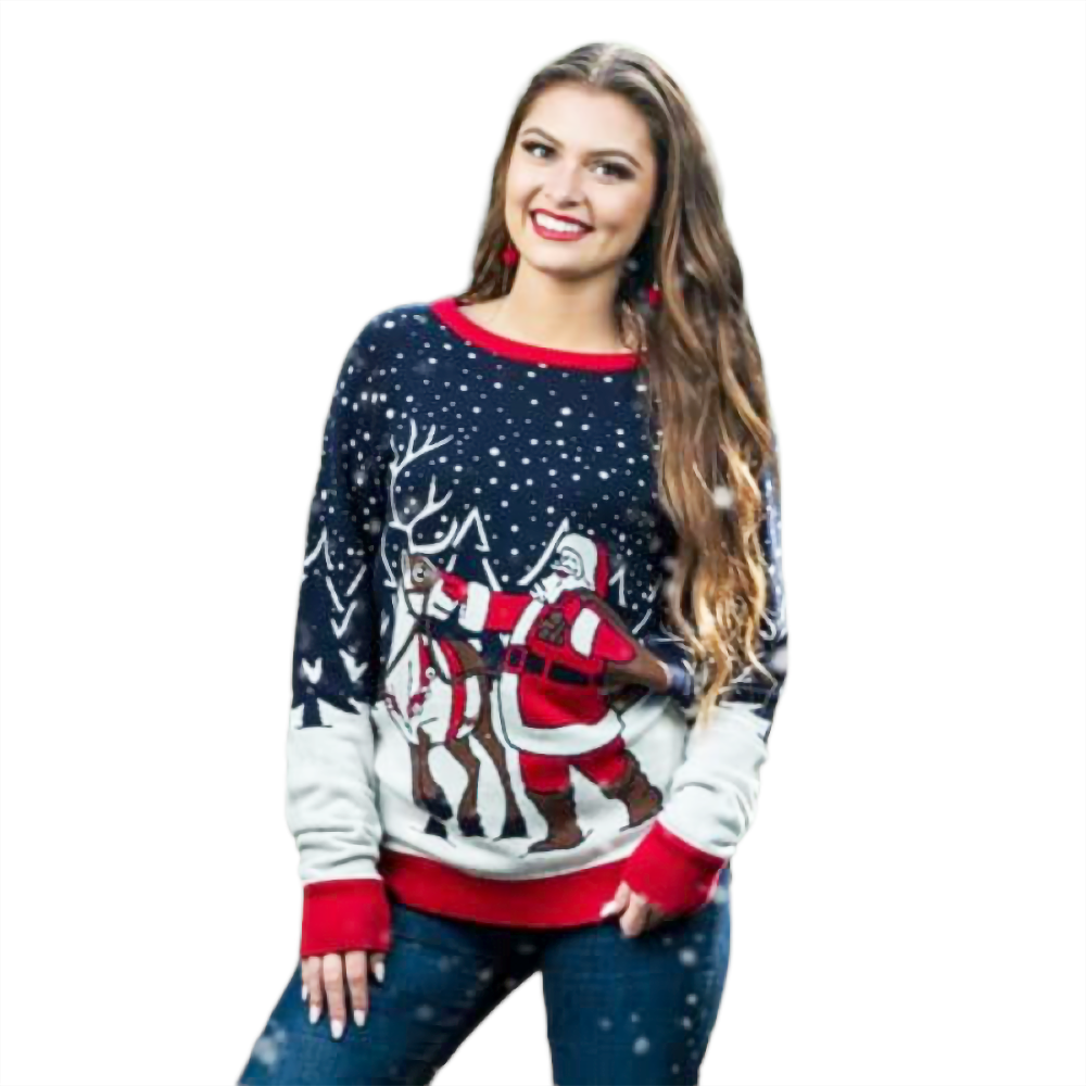Santa And Reindeer Sweater