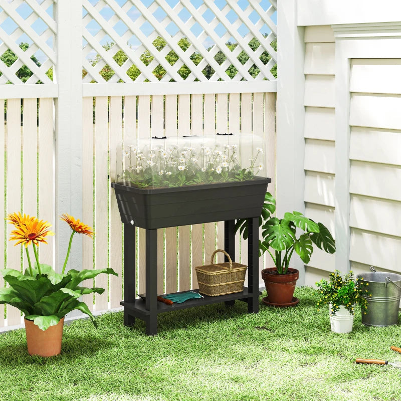 41L Self Watering Raised Garden Bed w/ Ventilation Transparent Lid Greenhouse, Planter Box w/ Storage Shelf, Black