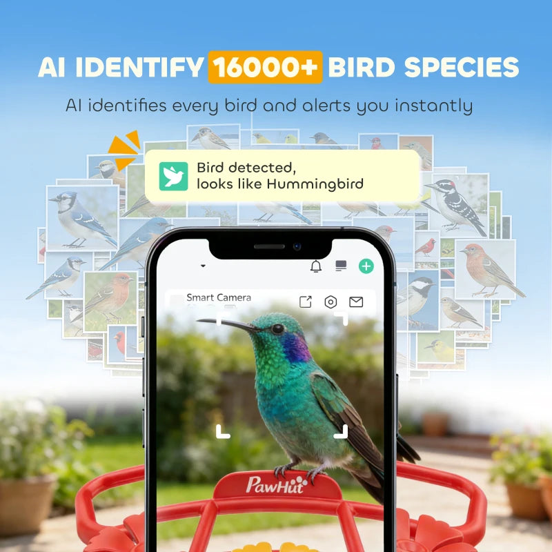 Smart Bird Feeder with Camera, AI Identify 16000+ Birds, 2K HD Live Video, 3W Solar, Instant Arrival Alerts