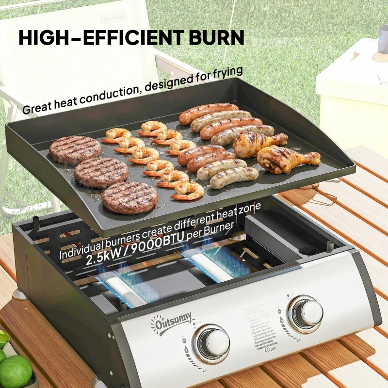 2 Burner Liquefied Gas Grill, Portable Tabletop BBQ Grill, for Camping, Picnic, Silver