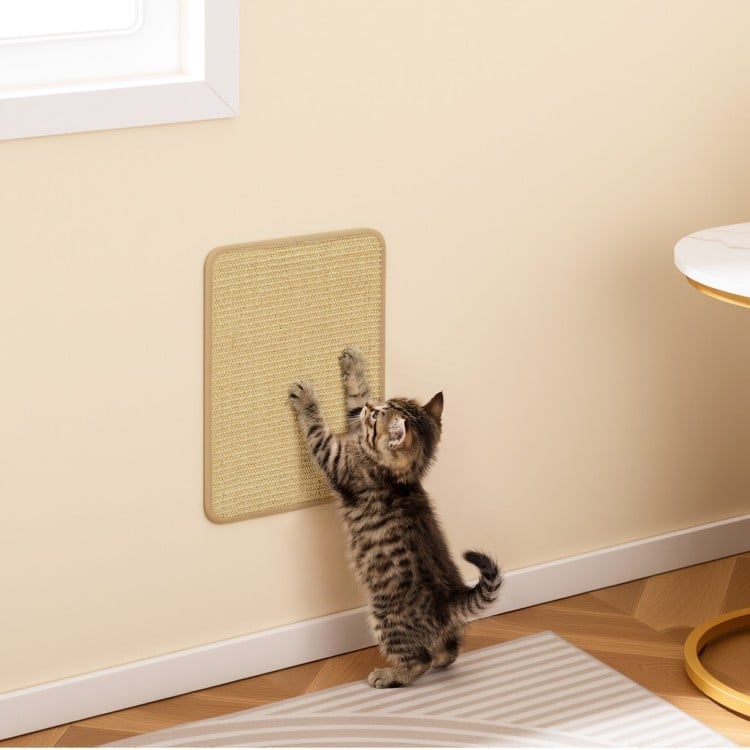 16 x 12 Inch 6-Piece Cat Scratcher Mat Set