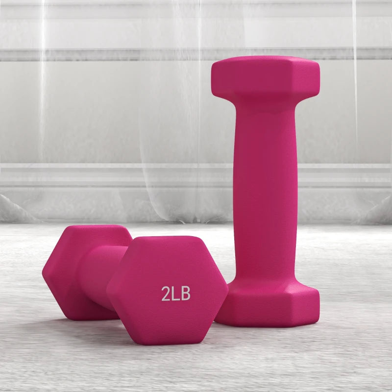 Soozier 2 x 2 lbs., 2 x 3 lbs., 2 x 5 lbs. Dumbbells Set with Dumbbell Rack, Hand Weights for Home Gym Training