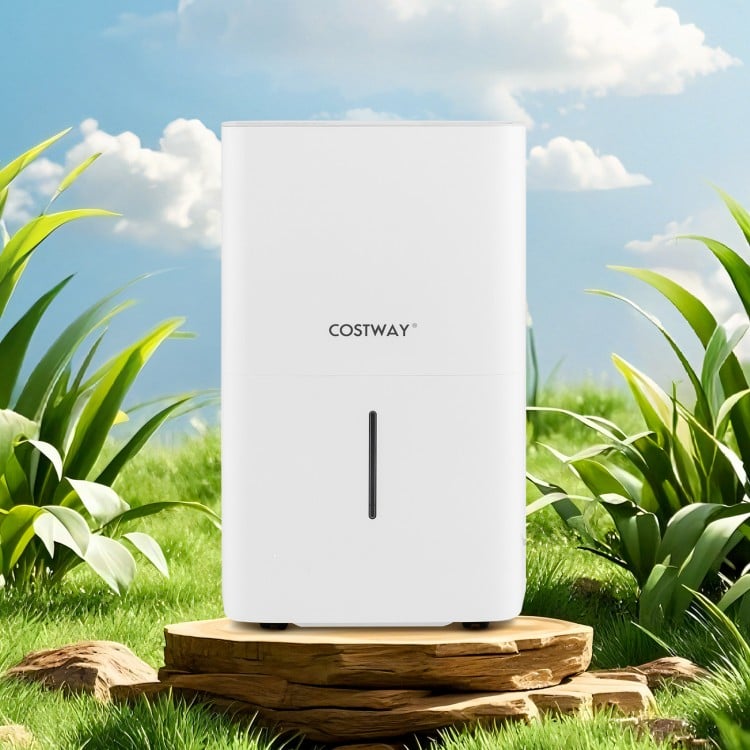 150 Pints Dehumidifier with 24H Timer and LED Display-White