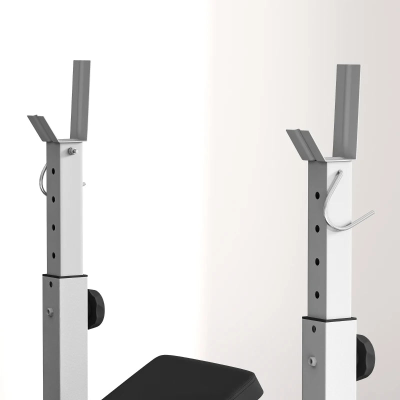 Soozier Bench Press Set Adjustable Weight Bench with Squat Rack, Preacher Curl Pad, Leg Developer and Weight Storage, Grey