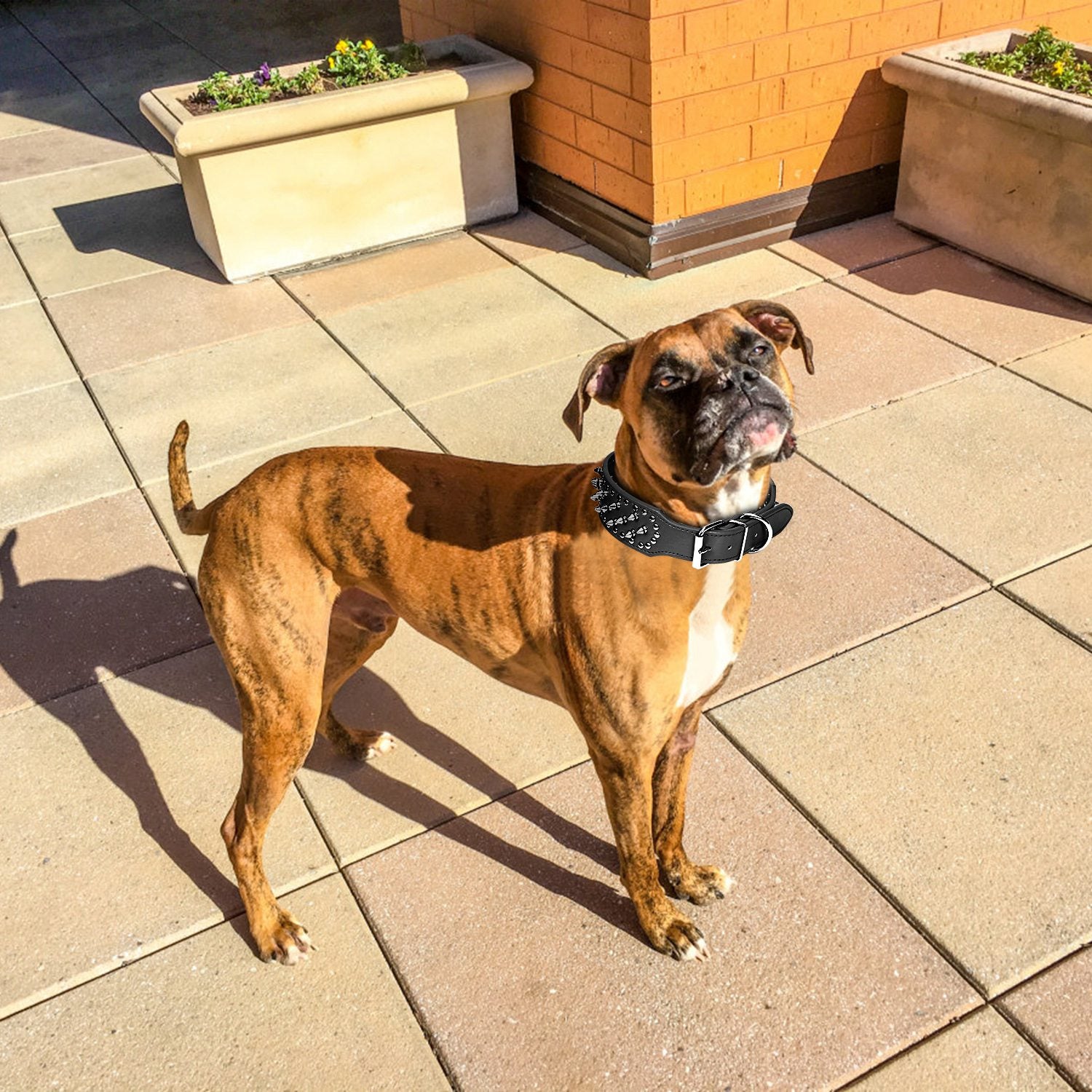 Dog Leather Collar Spiked Studded Pet Dog Collar Adjustable Neck Pitbull Mastiff Collar