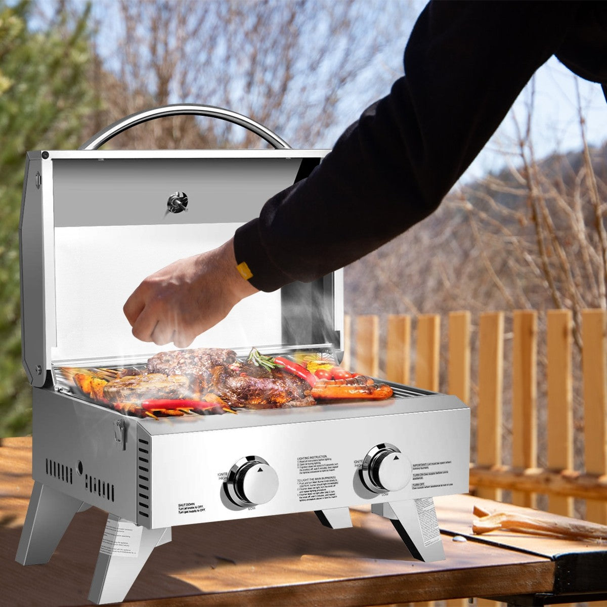 Propane TableTop Gas Grill Stainless Steel Two-Burner BBQ