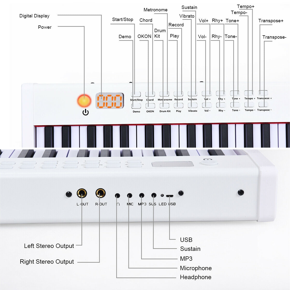 BX-II 88-key Portable Digital Piano with  MP3-WhiteÂ