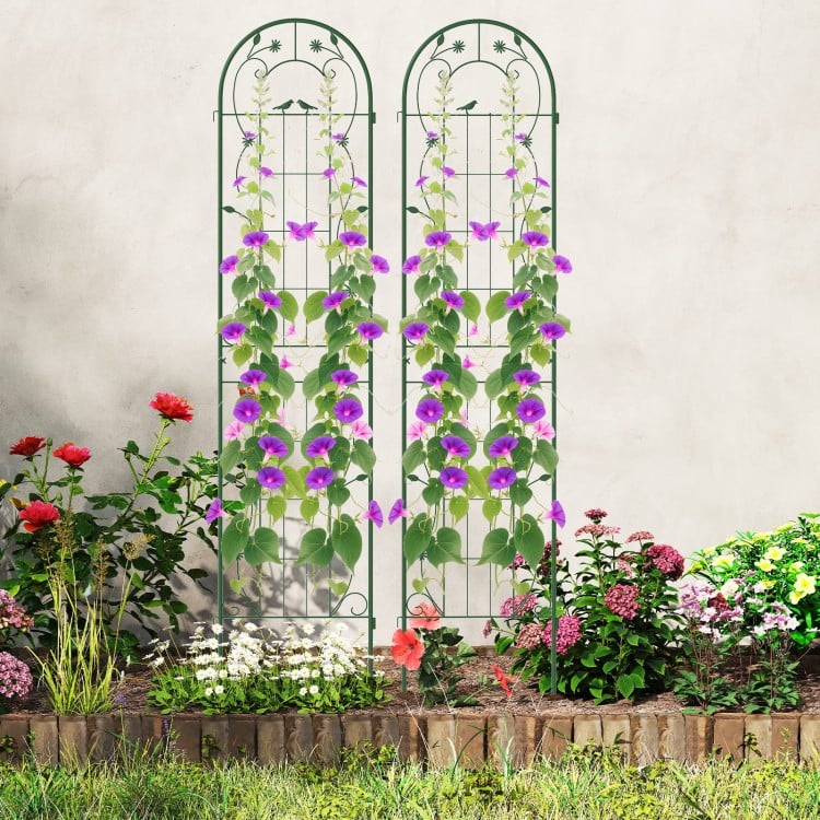 2 Pack 86.5 x 20 Inches Metal Garden Trellis for Climbing Plants-Green