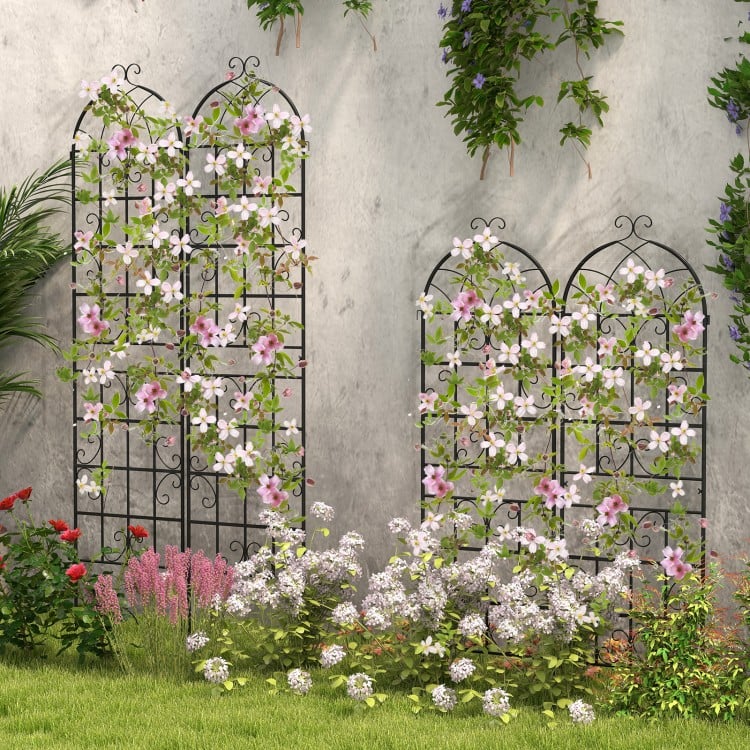 2/4 Pack 71 x 20 Inch Metal Garden Trellis for Climbing Plants-Set of 2