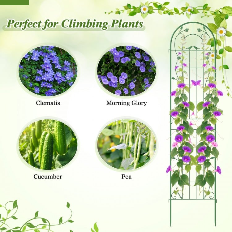 2 Pack 86.5 x 20 Inches Metal Garden Trellis for Climbing Plants-Green