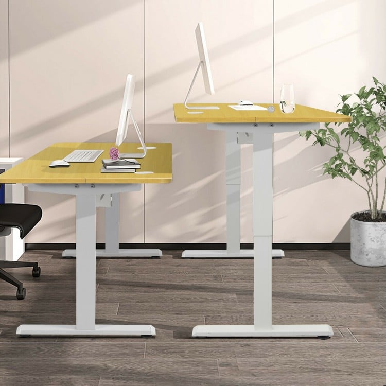 48-Inch Electric Standing Adjustable Desk with Control Panel and USB Port-Natural
