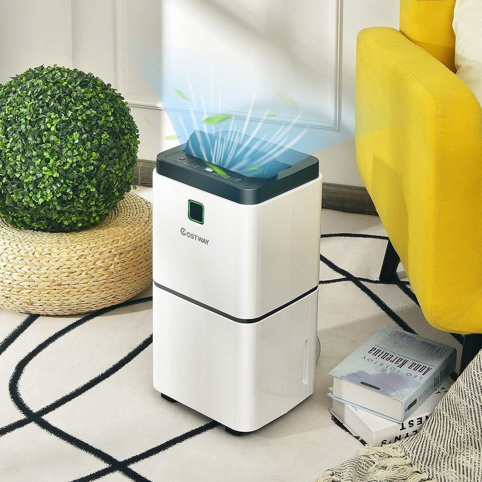 24 Pints 1500 Sq. ft Dehumidifier for Medium to Large Room with IndicatorÂ
