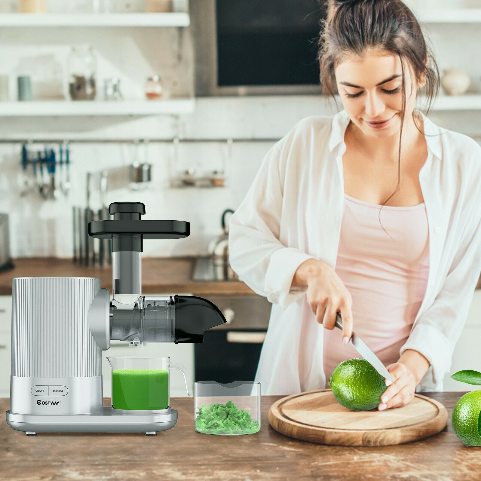 Horizontal Slow Masticating Extractor Juicer with Brush-SilverÂ