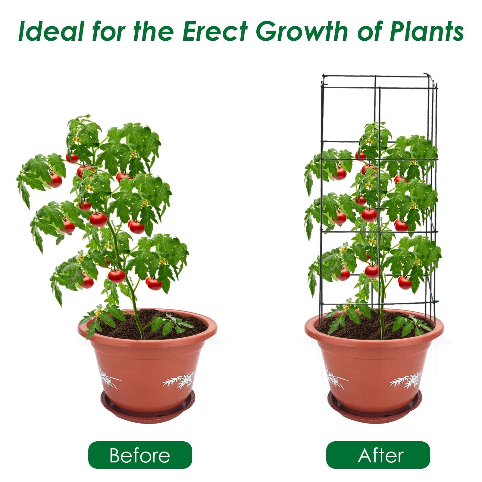 4 Pack Garden Trellis for Climbing Plants for Flower VegetableÂ