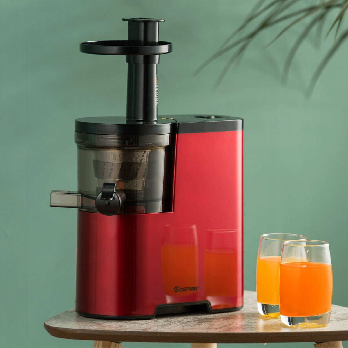 Slow Fruit Vegetable Masticating Juicer Cold Press ExtractorÂ