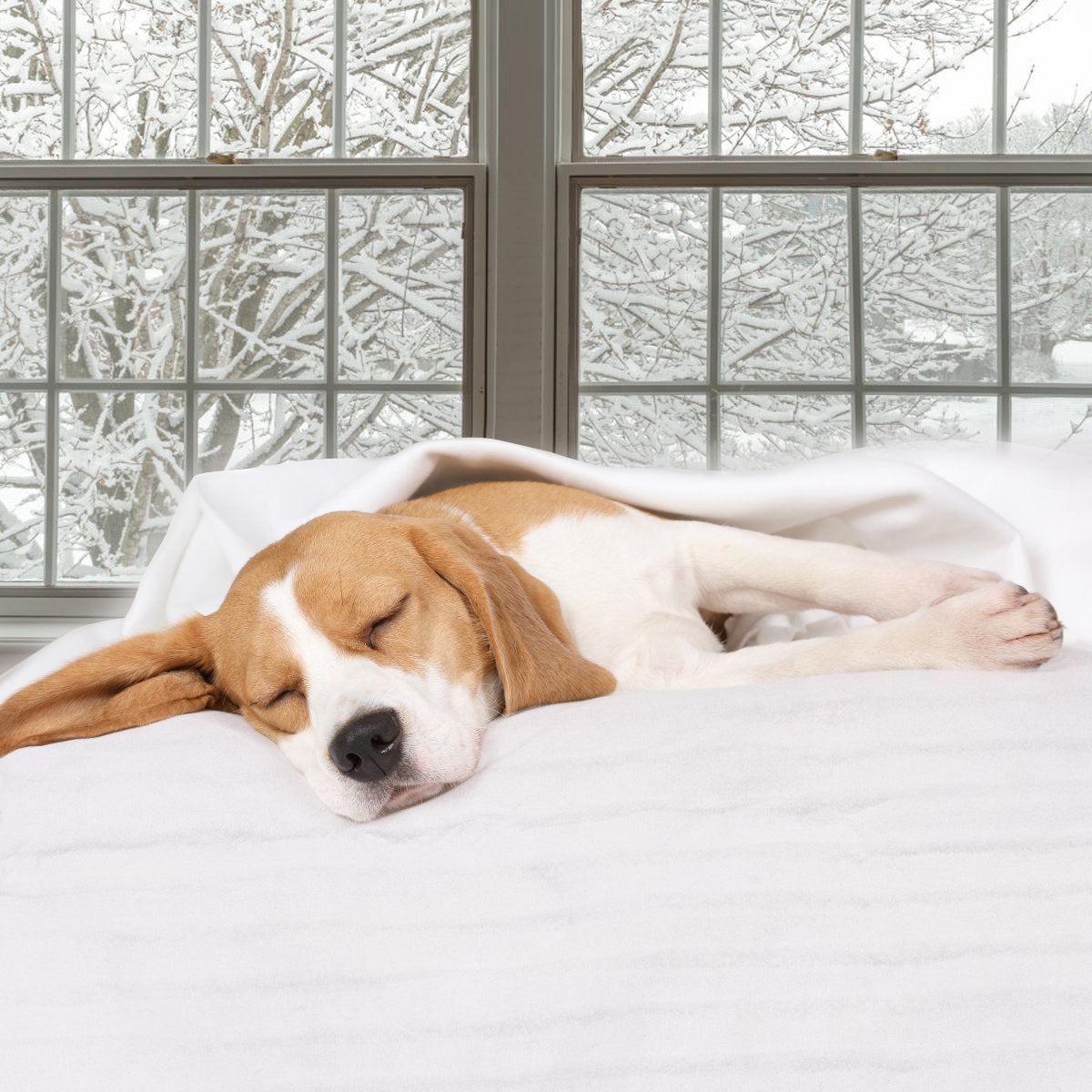 Digital Auto Overheat Protection Massage Table WarmerÂ