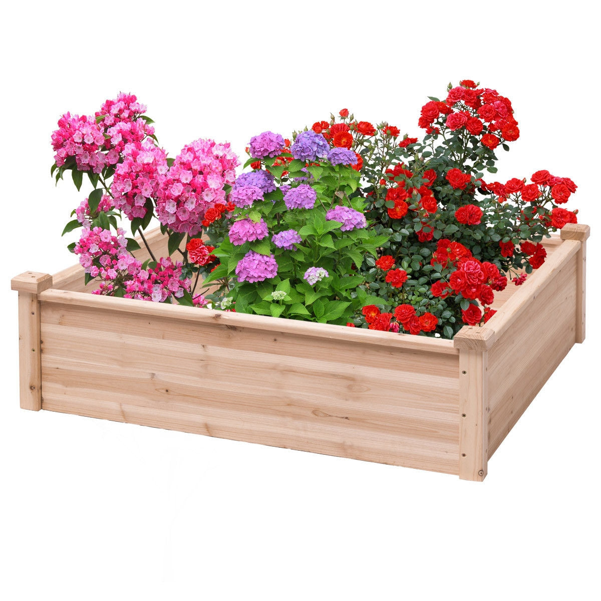Wooden Square Garden Vegetable Flower BedÂ