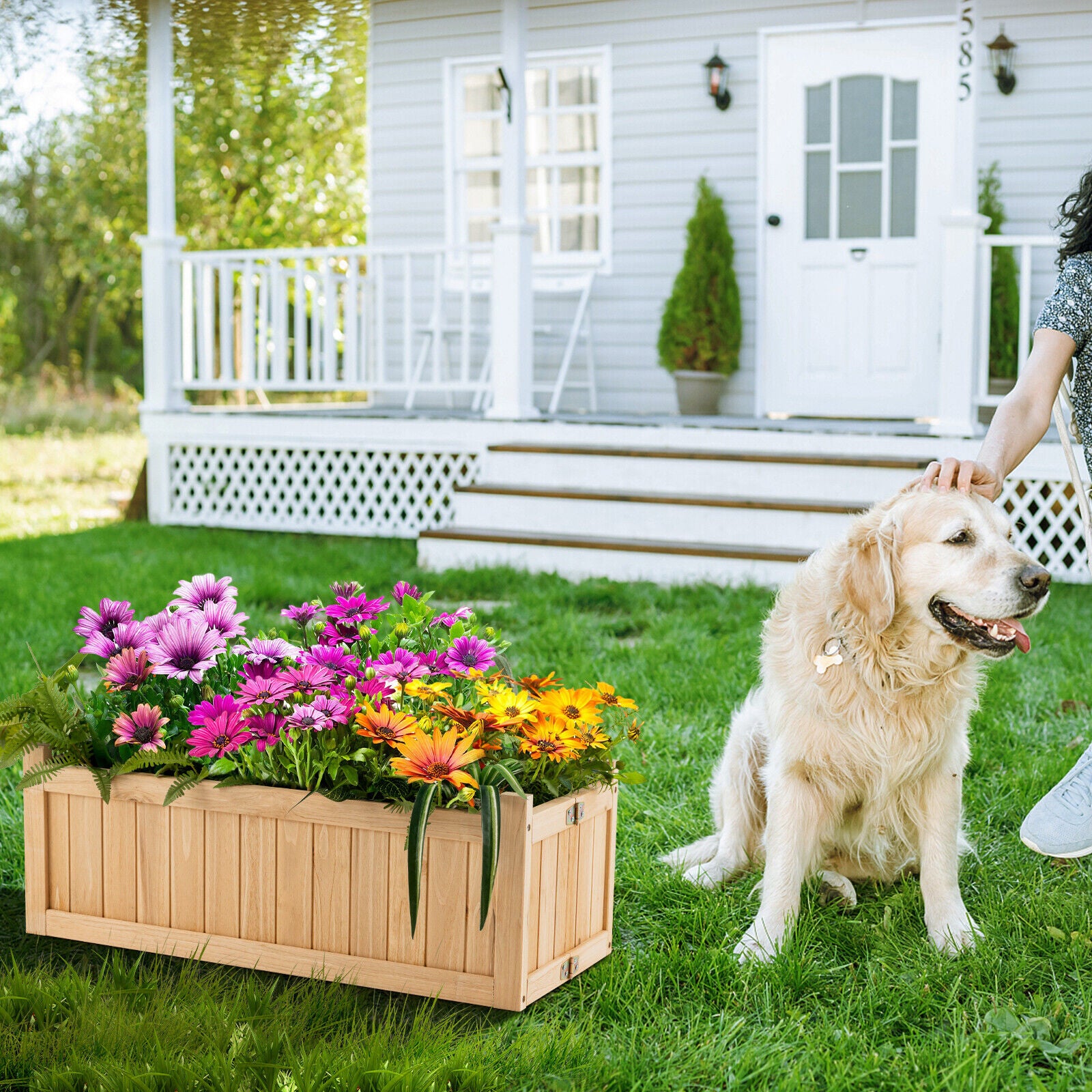 Folding Wooden Raised Garden Bed with Removable Bottom for Herbs Fruits FlowersÂ