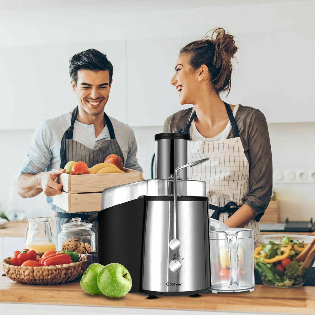 2 Speed Electric Juice Press for Fruit and VegetableÂ