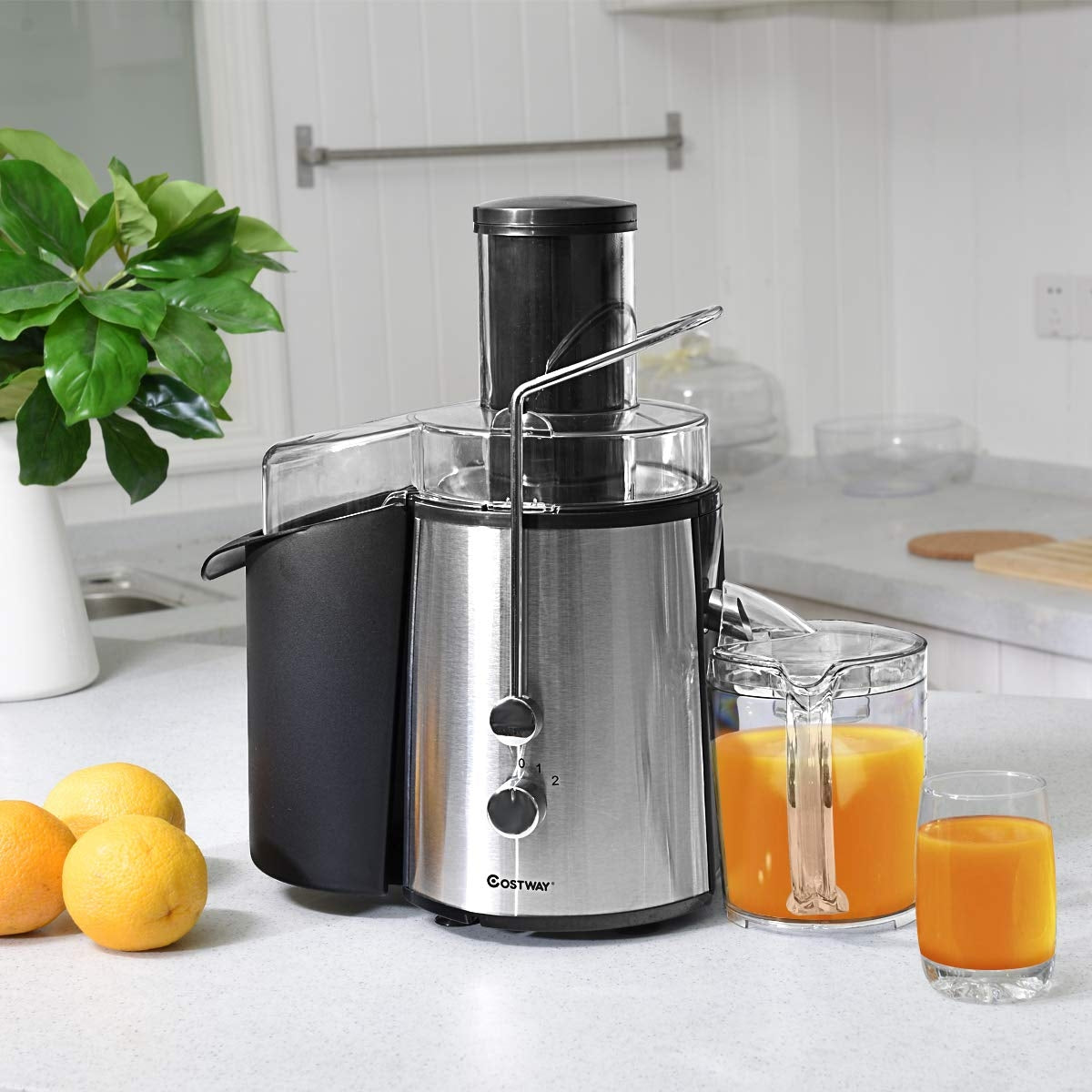 2 Speed Electric Juice Press for Fruit and VegetableÂ