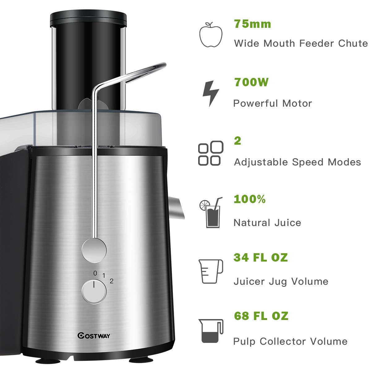 2 Speed Electric Juice Press for Fruit and VegetableÂ