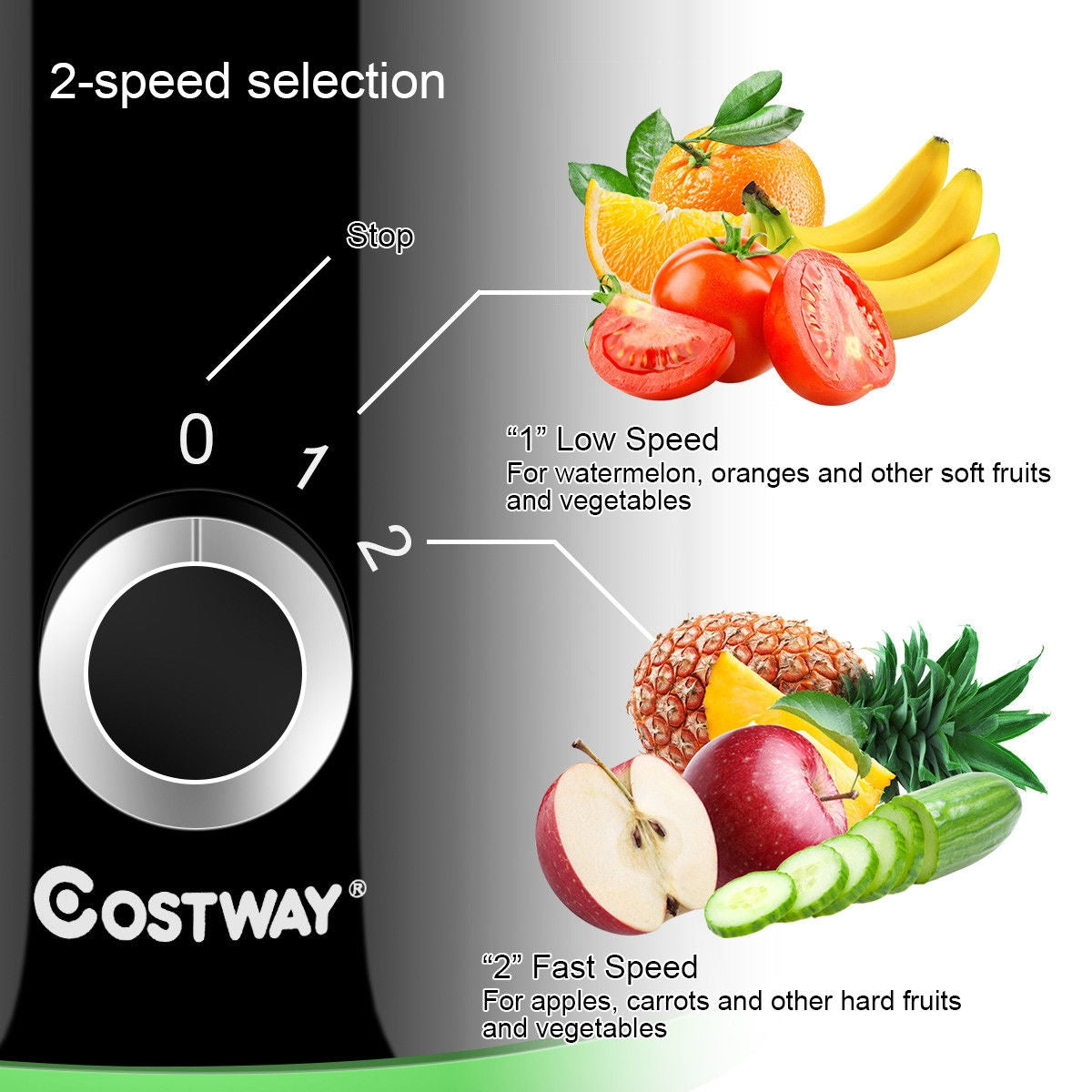 2 Speed Wide Mouth Fruit and Vegetable Centrifugal Electric JuicerÂ