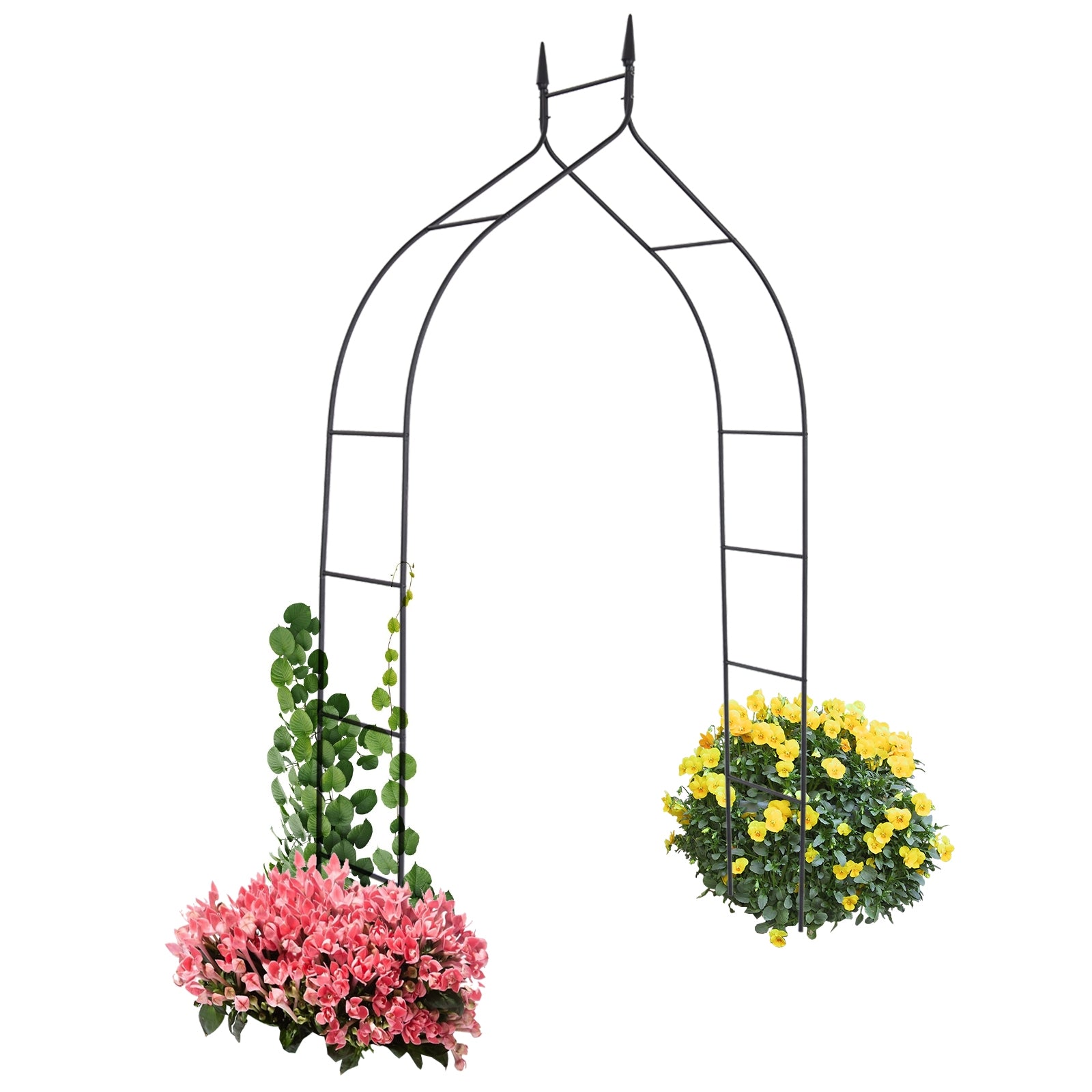 8 Feet 4 Inch High Gothic Steel Rose ArchÂ