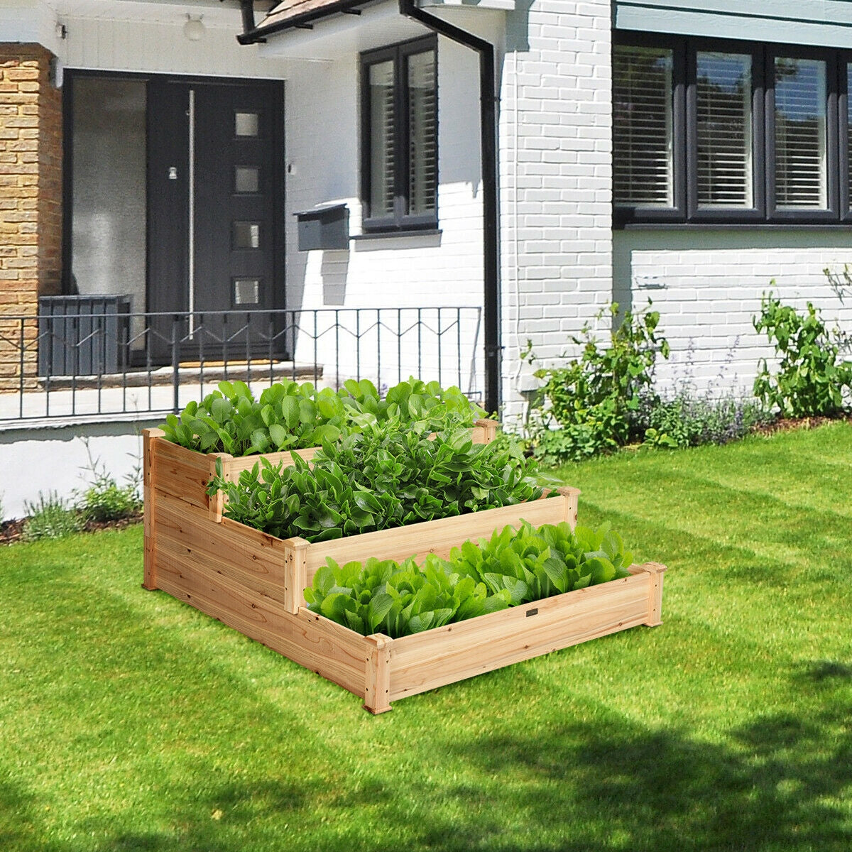 3 Tier Elevated Wooden Vegetable Garden BedÂ
