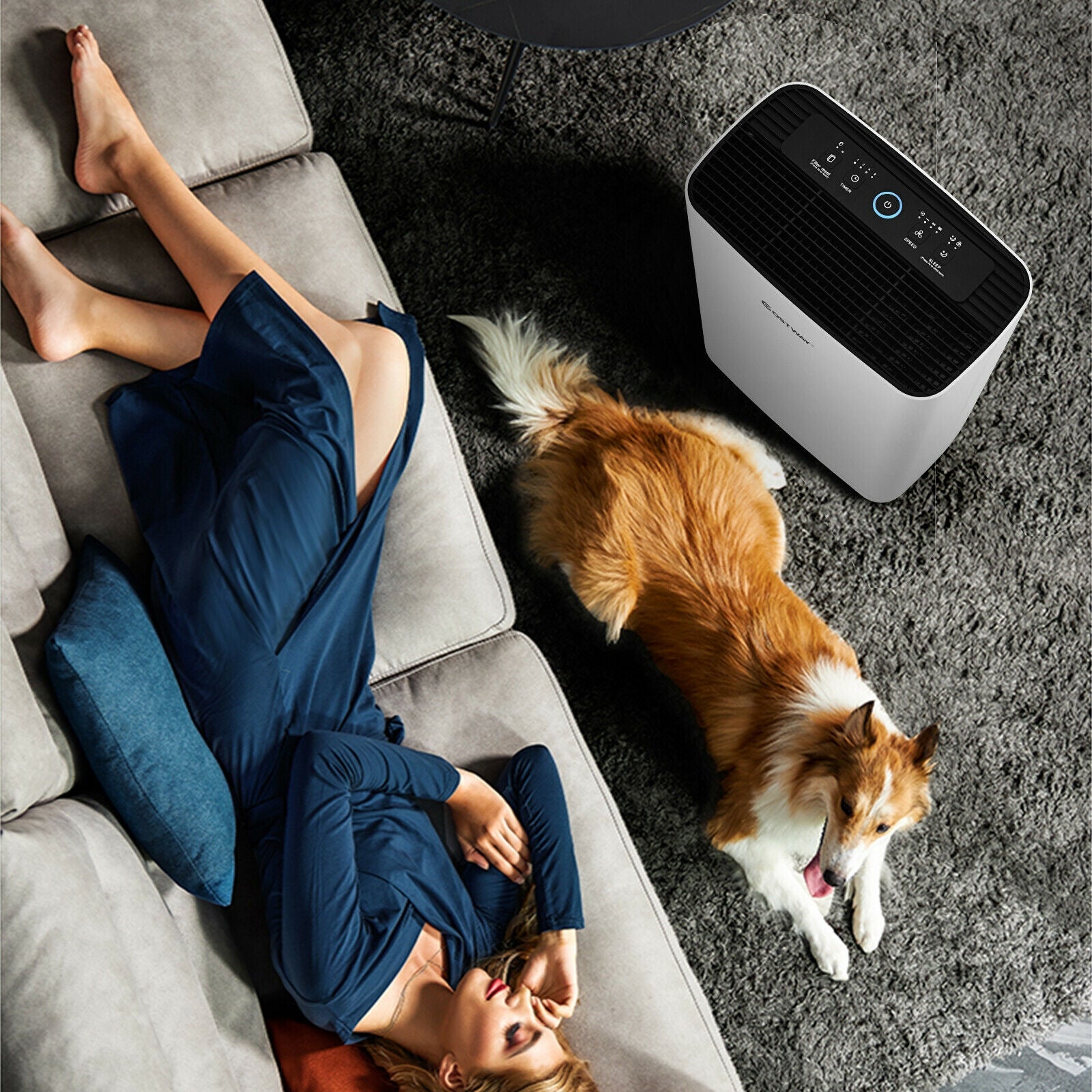 800 Sq. Ft Air Purifier True HEPA Filter Carbon Filter Air Cleaner Home OfficeÂ