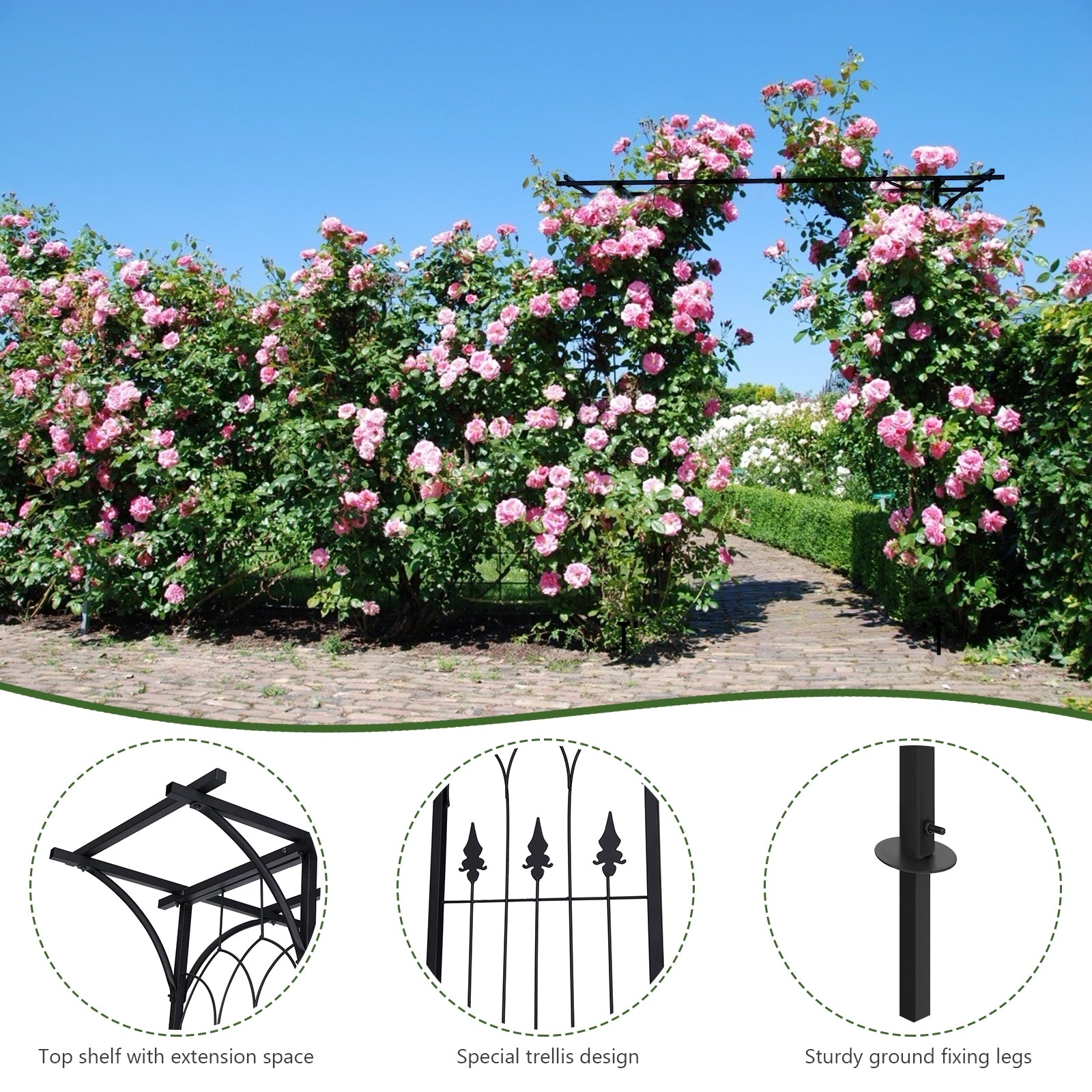 81 x 20 Inch Metal Garden Arch for Various Climbing PlantÂ