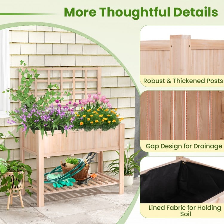 Raised Garden Bed Elevated Wooden Planter Box with Trellis