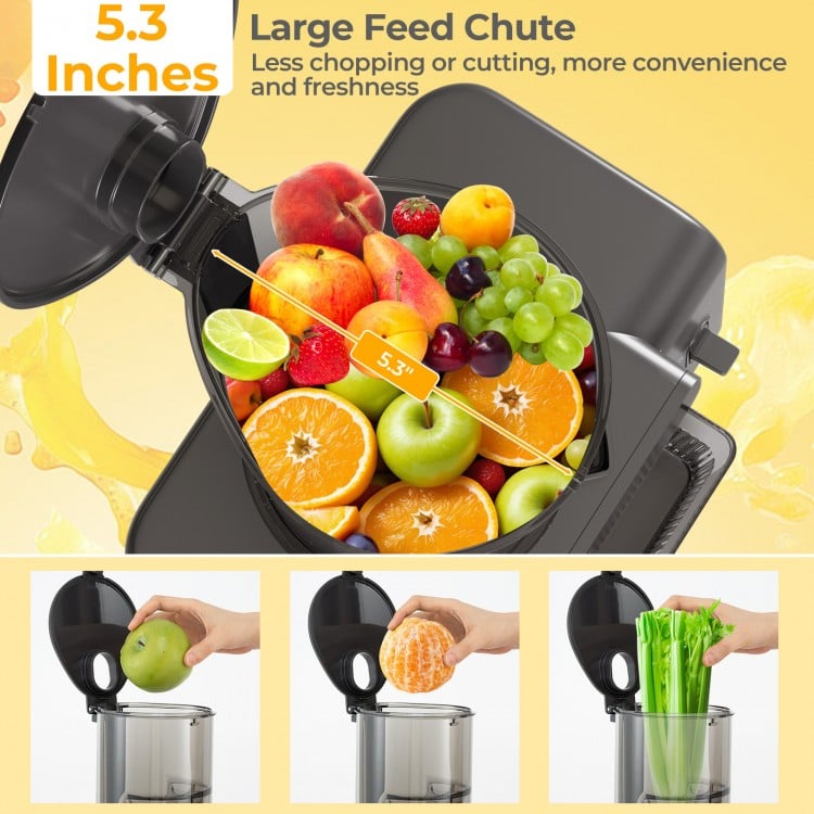Cold Press Juicer with 5.3 Inches Feed Chute High Juice Yield and Reverse Function