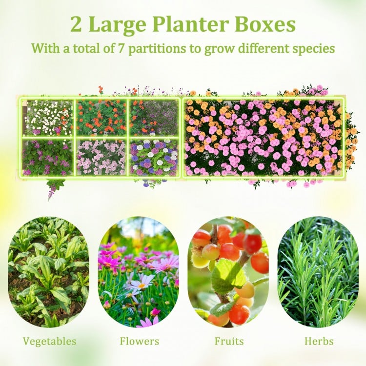 Wooden Raised Garden Bed with 2 Planter Boxes and Dividers-Natural