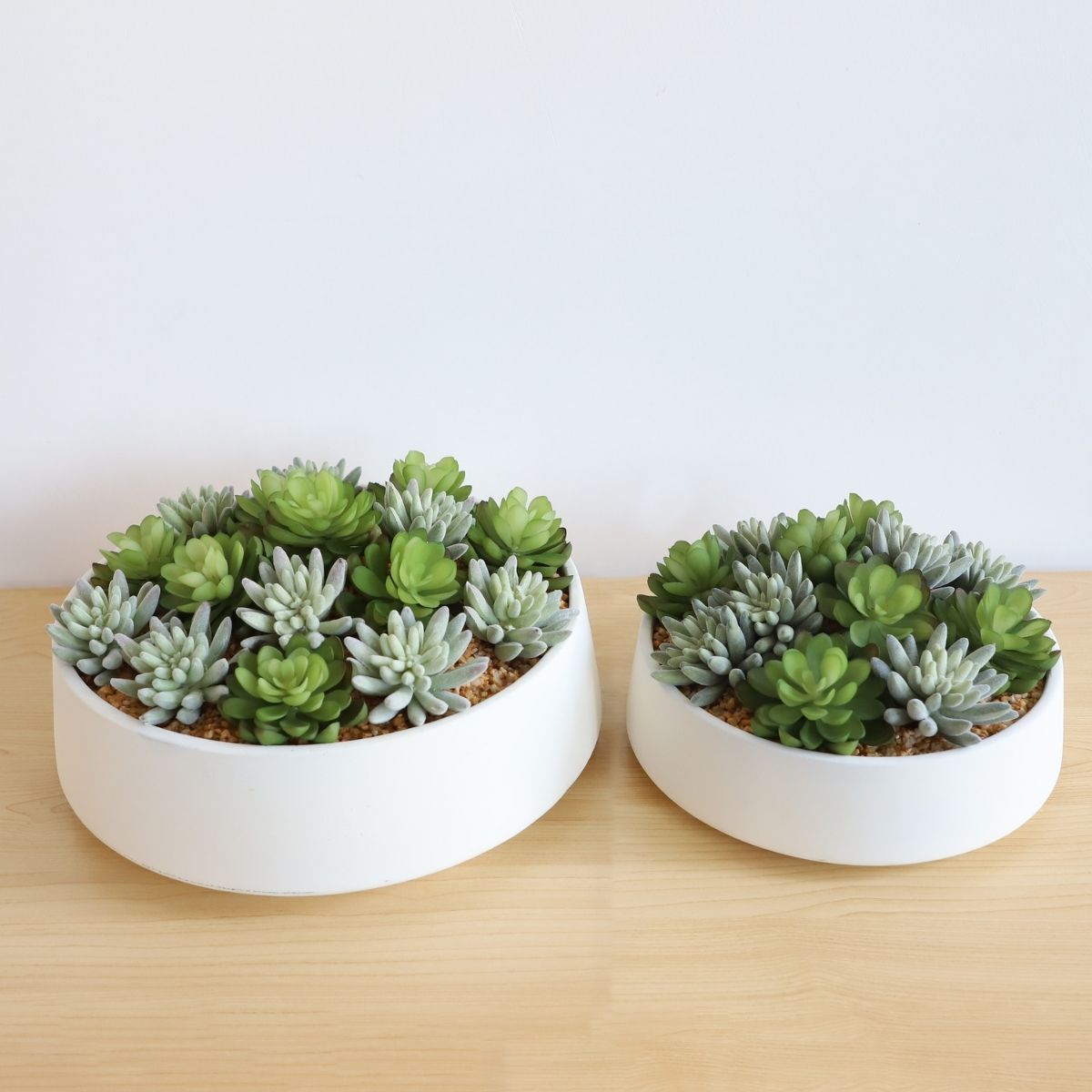 Eva Artificial Succulent Arrangement in Low White Pot