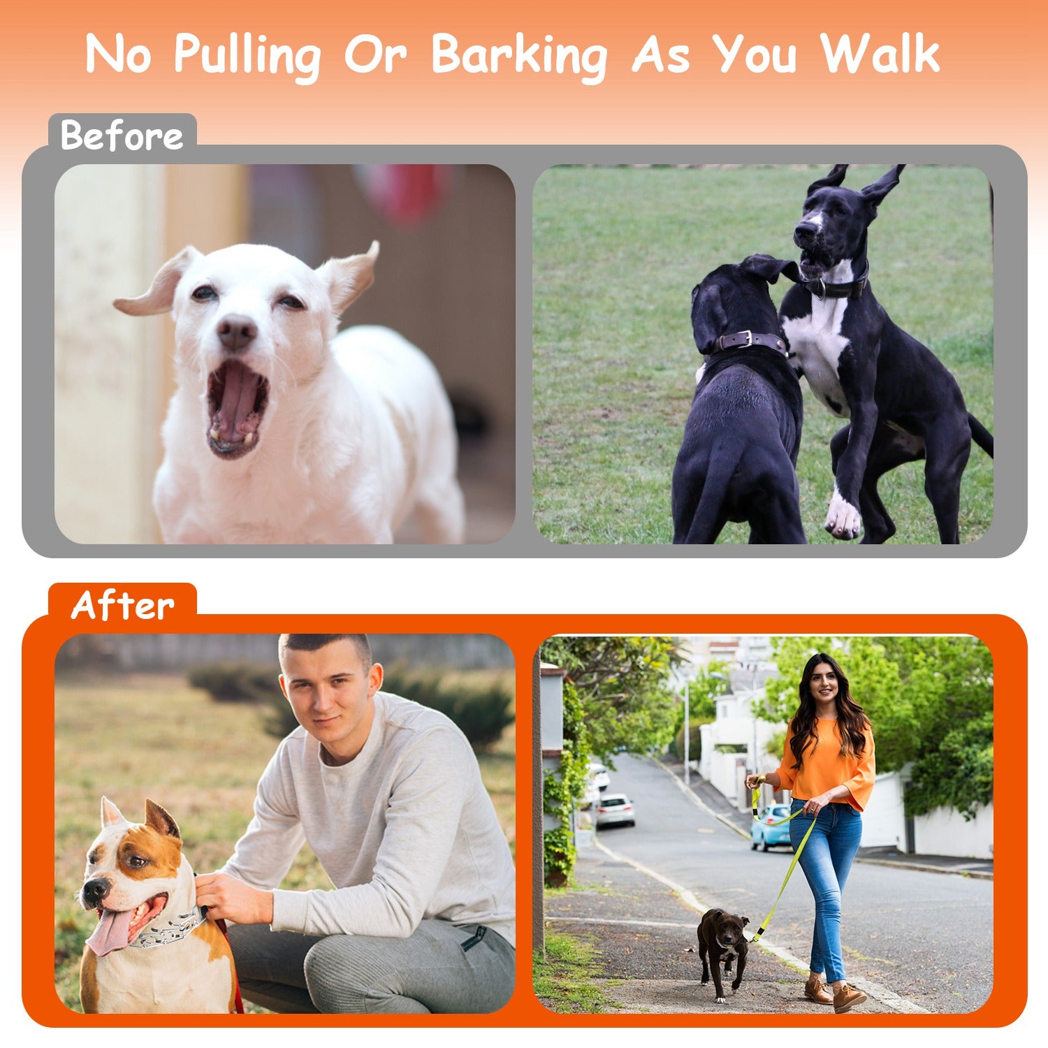 Adjustable Dog Choke Collar Training Chain Dog Necklace with Buckle for Small Medium Large Dogs