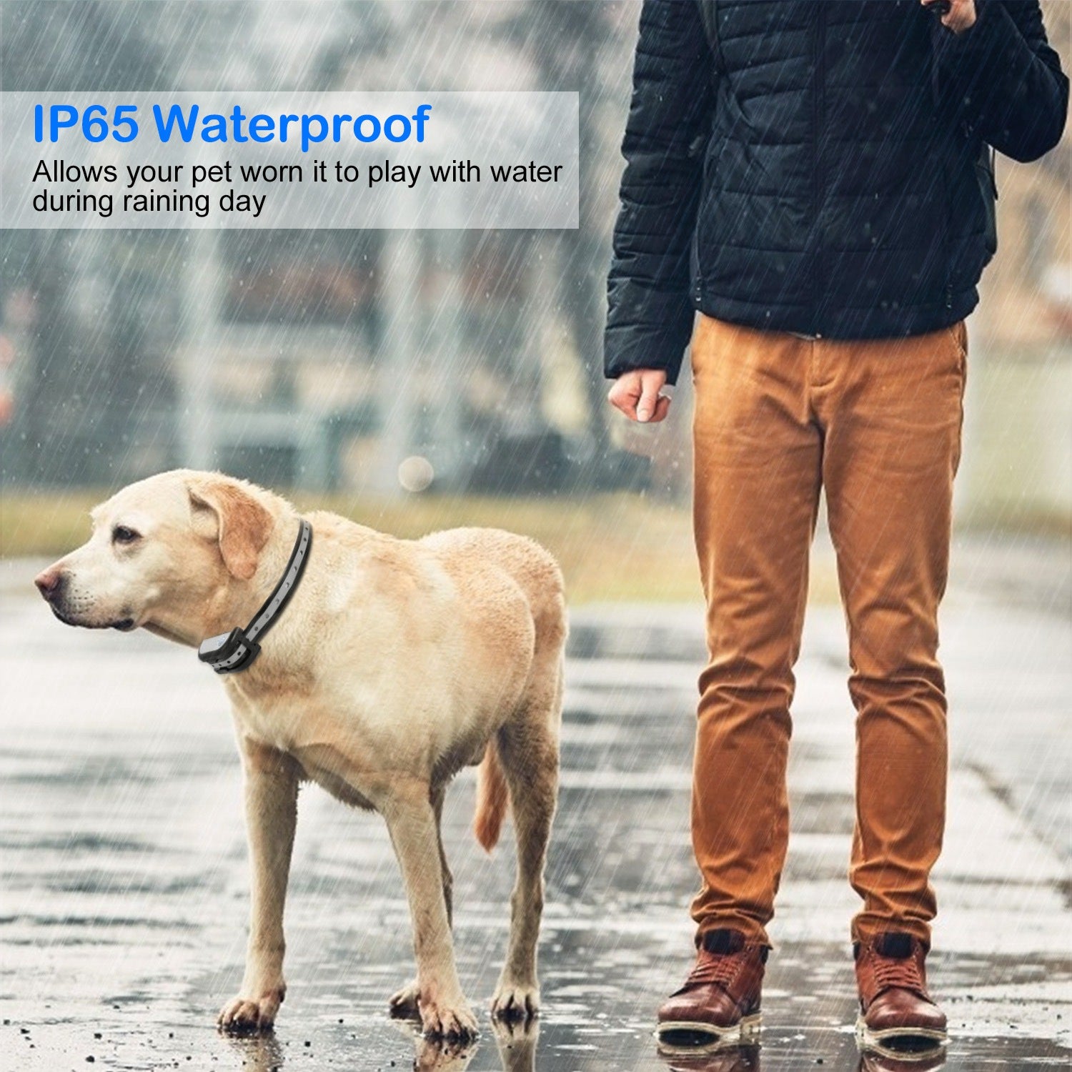 Dog Collar Receiver Electric Fence Collar Receiver Dog Training Collar Receiver IP65 Waterproof Rechargeable Pet Training Adjustable Collar Replacemen