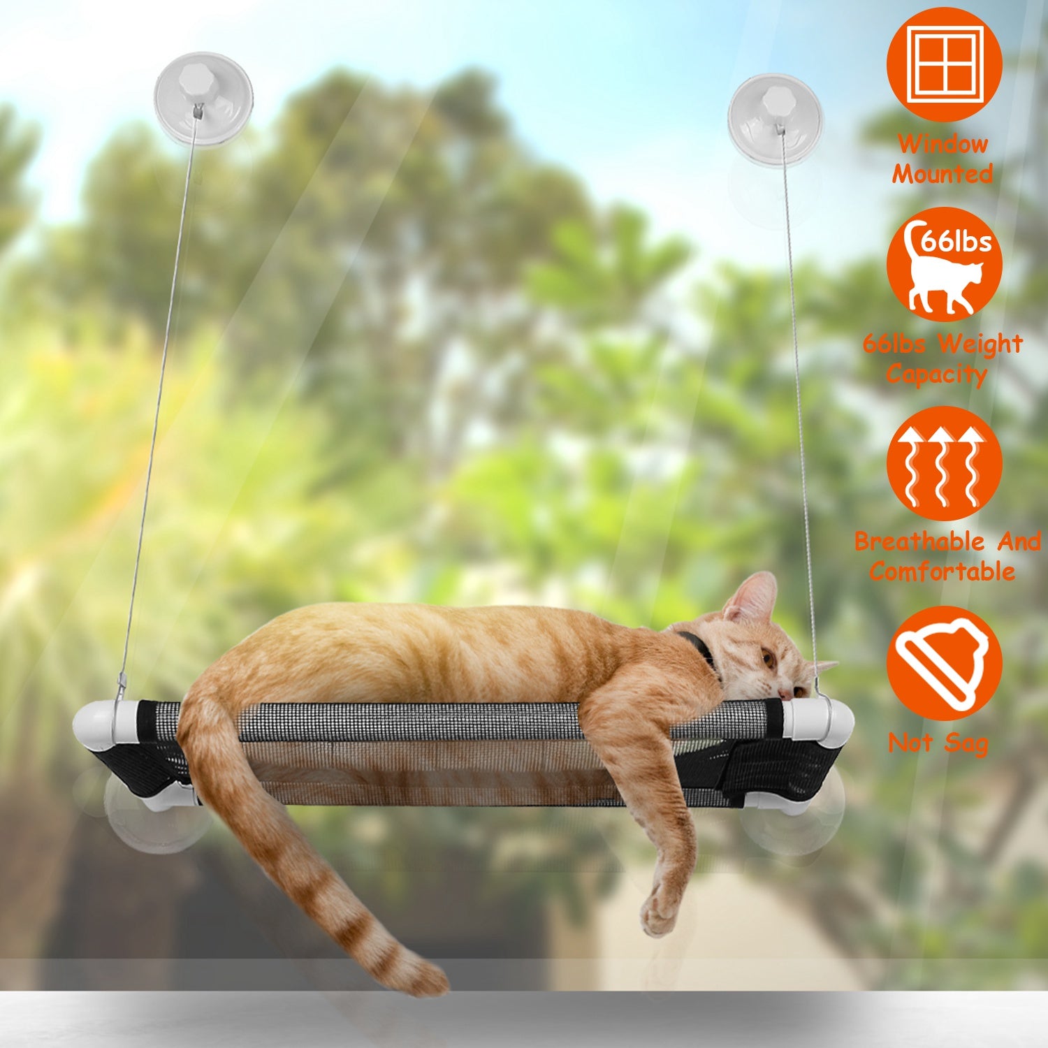 Cat Window Perch Cat Hammock Window Seat Window Mounted Cat Bed Hanging Cat Seat Hold up to 66lbs