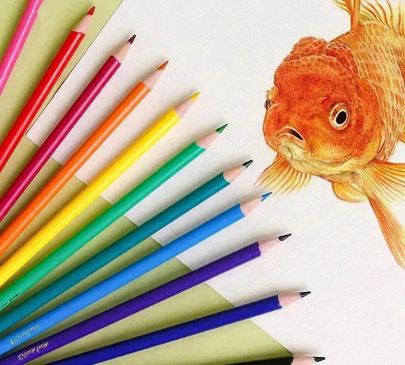 24 Color Creative Color Lead Set Training Organization