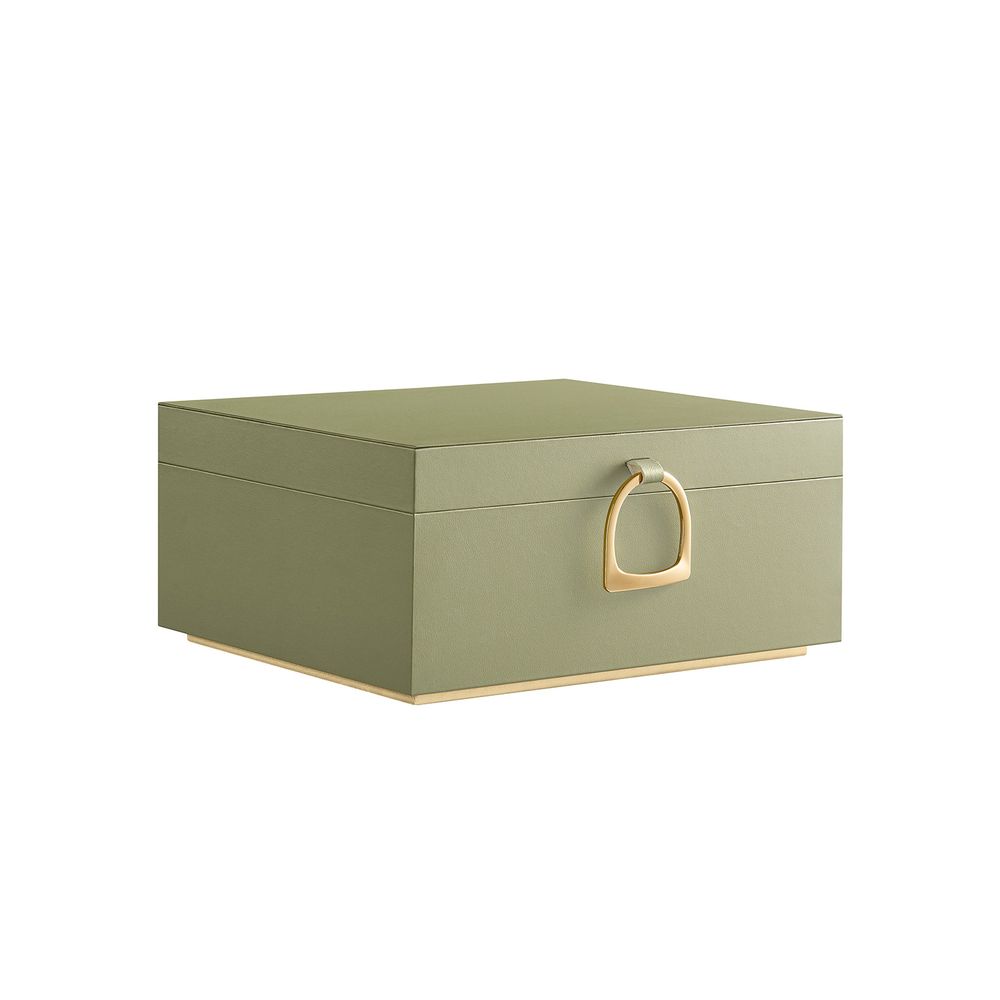 SONGMICS 2-Layer Jewelry Box with Handle and Removable Jewelry Tray