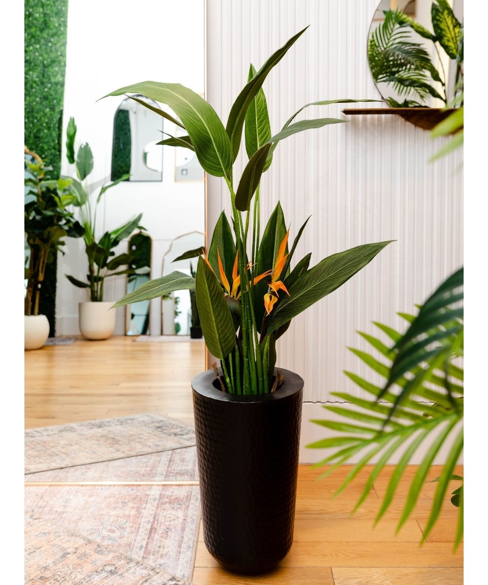 Mesa - Black Brass Planter (Multiple Sizes)