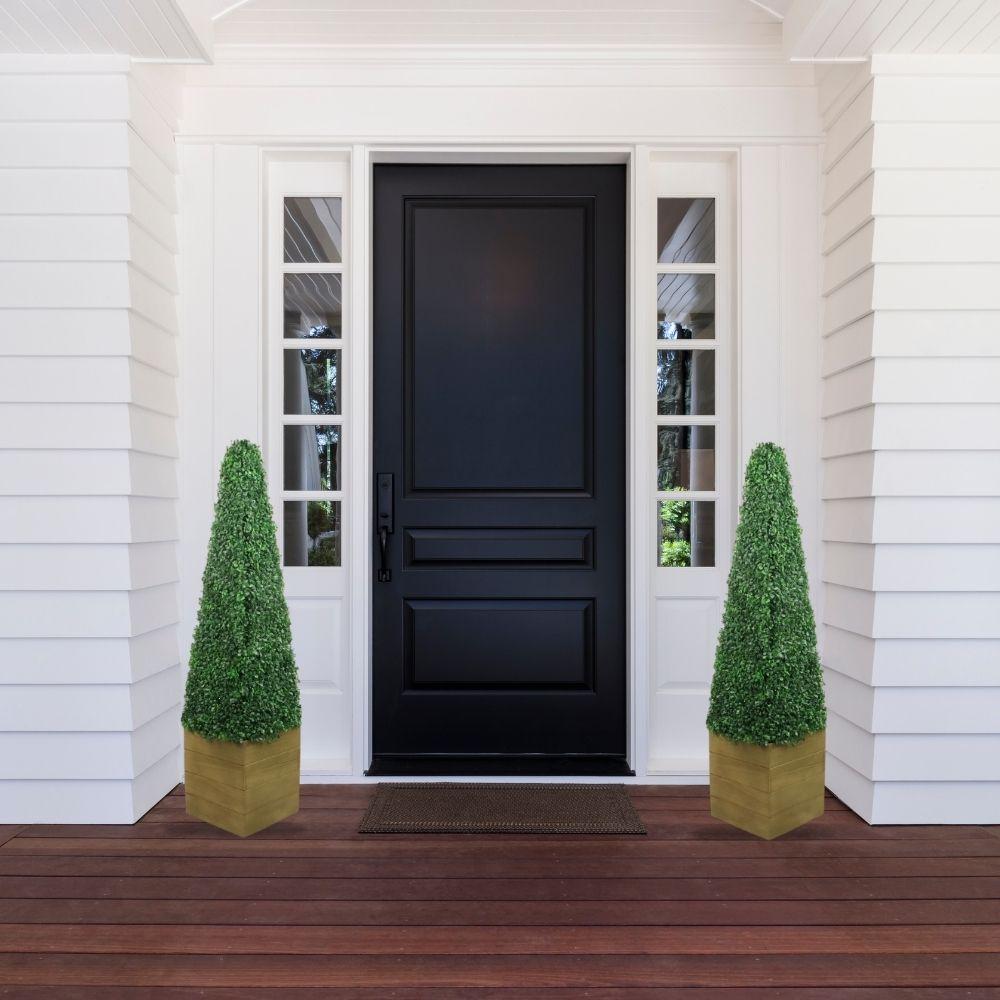 Mayer Potted Boxwood Topiary Plant (Multiple Sizes)